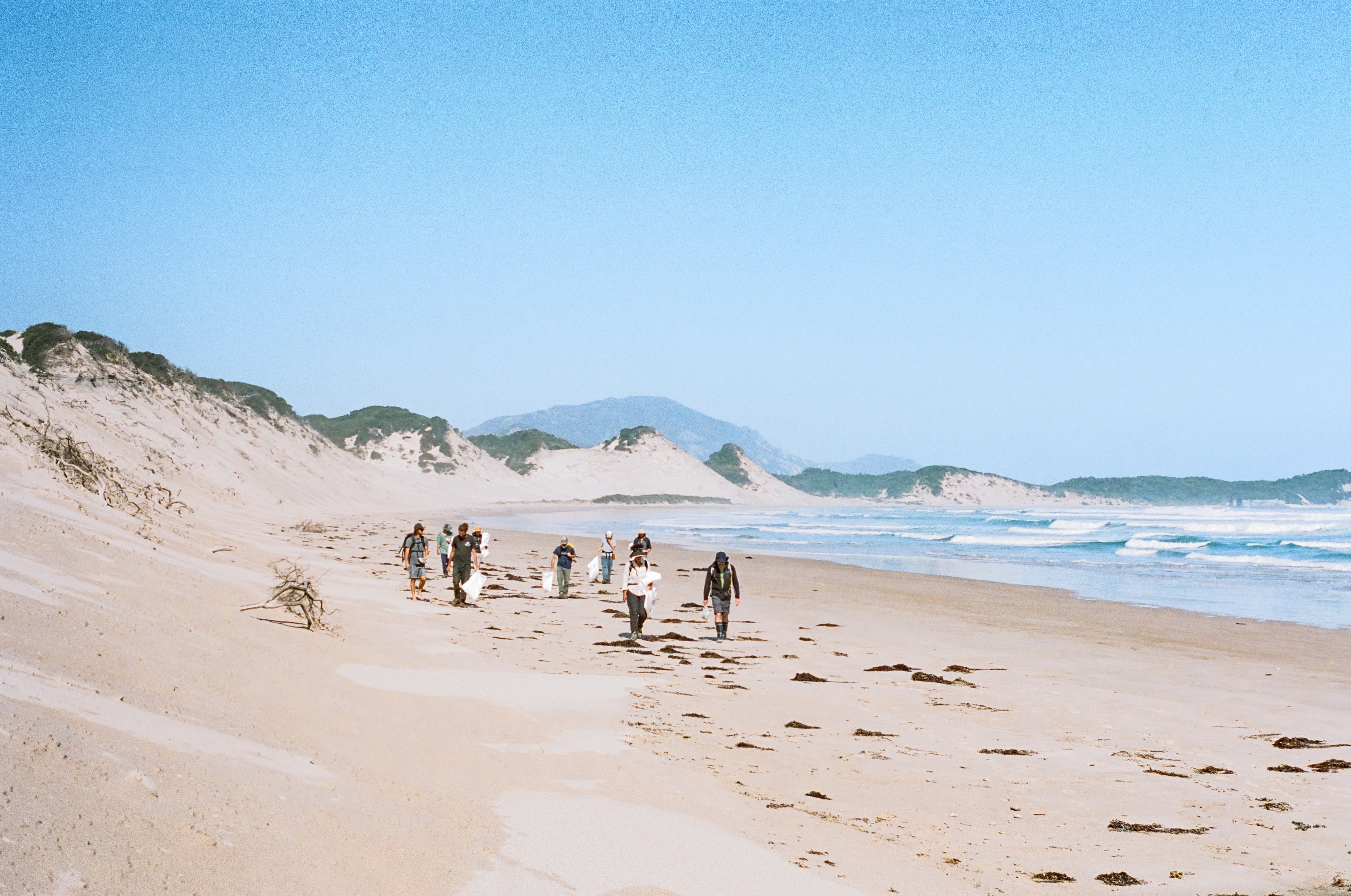 Protecting Tassie’s wildest beaches from a toxic wave of plastic