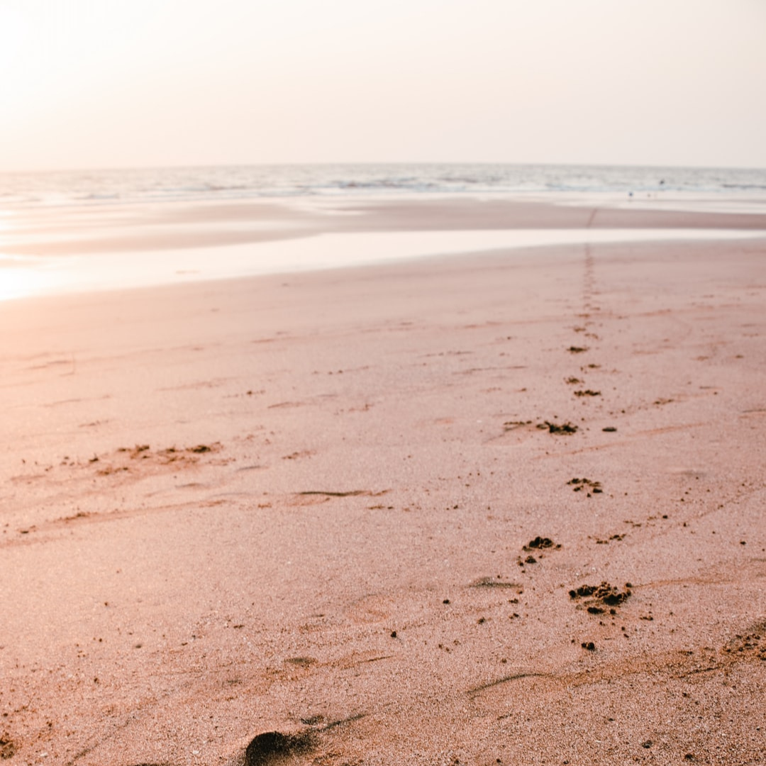 World Oceans Day 2022
