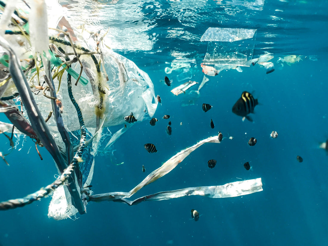 Plastic Free July: Why We're Committed to Plastic-Free Sunscreen