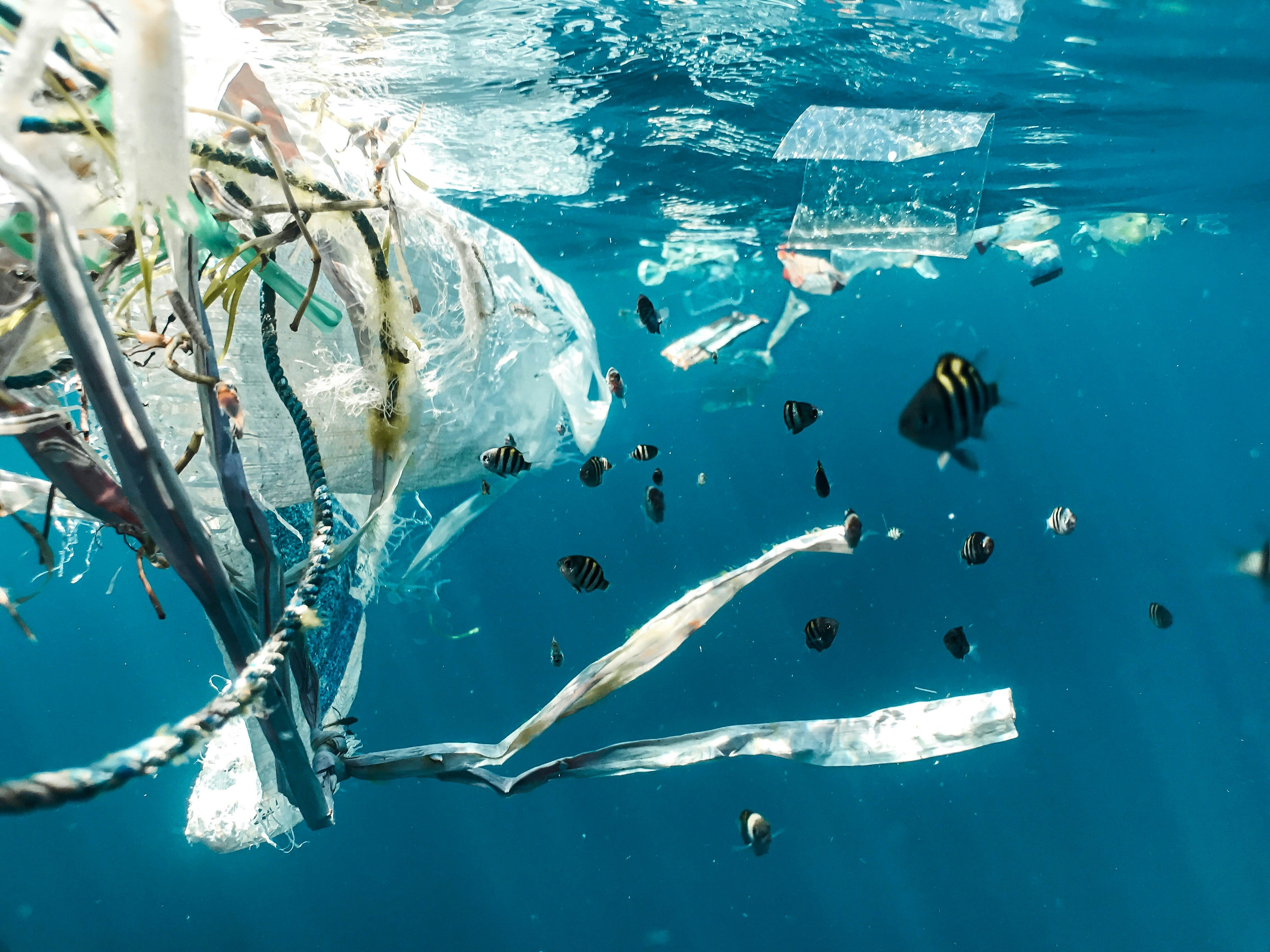 Plastic Free July: Why We're Committed to Plastic-Free Sunscreen
